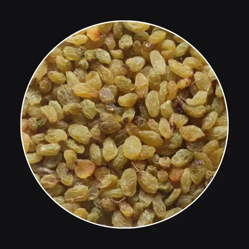 Premium green raisins for bulk wholesale supply